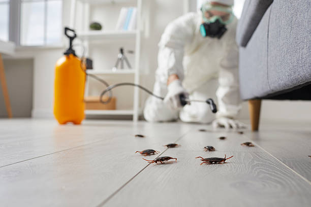 Commercial Kitchen Cockroach Control in Beaver